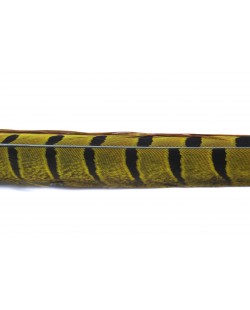 LIGHT OLIVE 1 PAIR RINGNECK TAIL FEATHERS 